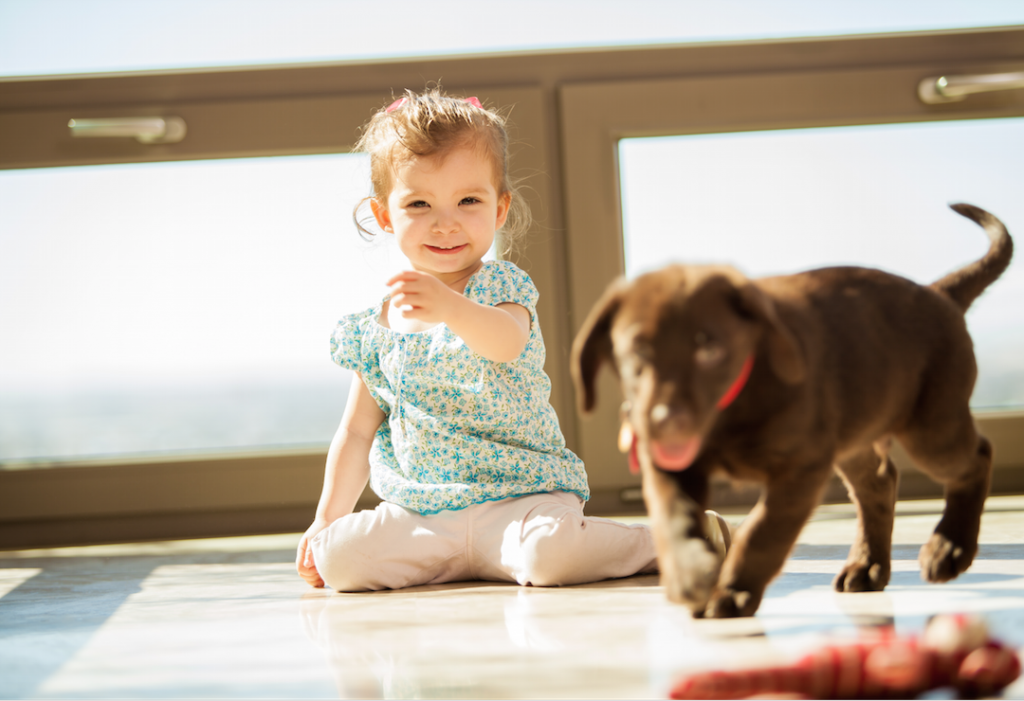 keeping your floors kid and pet friendly